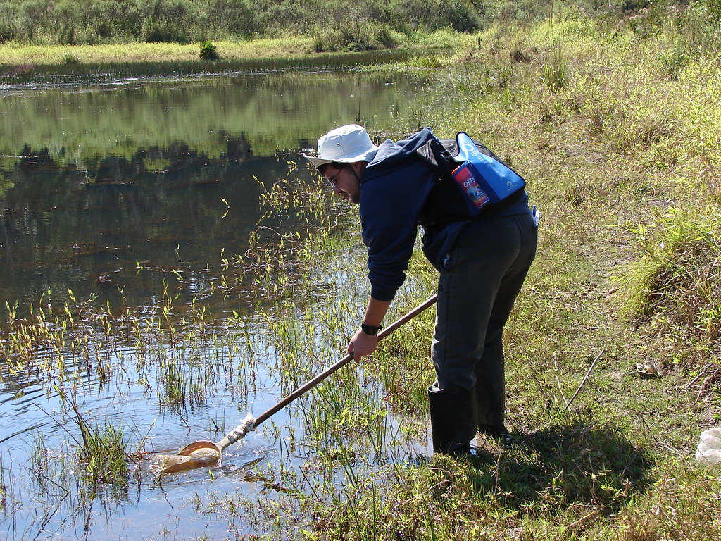 Diogo in a white hat and rubber boots leaning over a pond edge, sweeping a dip net through the shallow vegetation