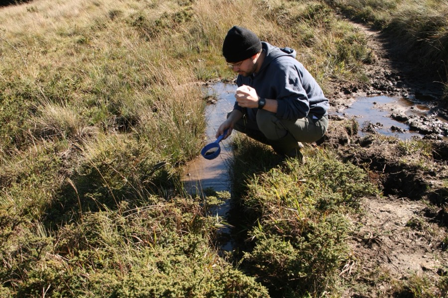 Diogo crouching by a shallow pond in highland grassland, sampling tadpoles with a dip net