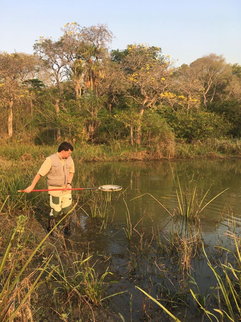 Diogo standing in a pond in the Pantanal holding a long-handled dip net