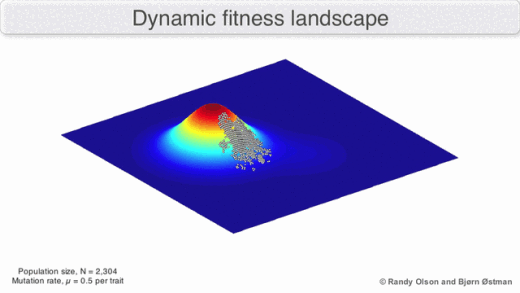 Animação de uma paisagem de aptidão em três dimensões: um pico vermelho se desloca e muda de altura ao longo do tempo, e uma nuvem de indivíduos da população se move pela superfície acompanhando o pico.
