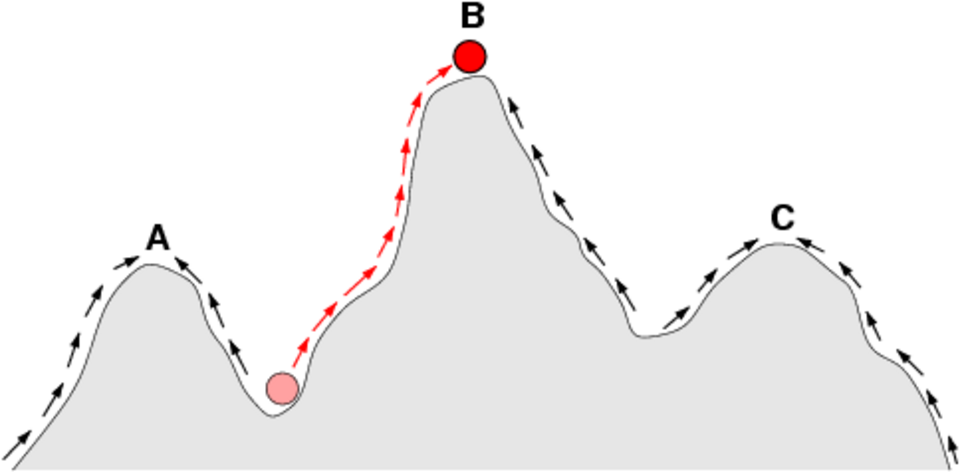Perfil de uma paisagem de aptidão com três picos, A, B e C, sendo B o mais alto. Setas sobem as encostas em direção a cada pico; uma população num vale sobe, por setas vermelhas, até o pico B.