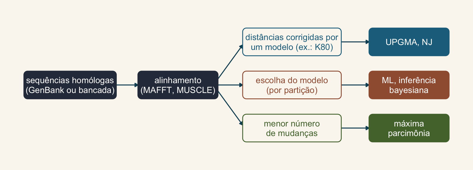 Fluxograma: sequências homólogas, alinhamento e então três caminhos: distâncias corrigidas por um modelo levando a UPGMA ou NJ; escolha do modelo por partição levando a ML ou inferência bayesiana; menor número de mudanças levando à máxima parcimônia.