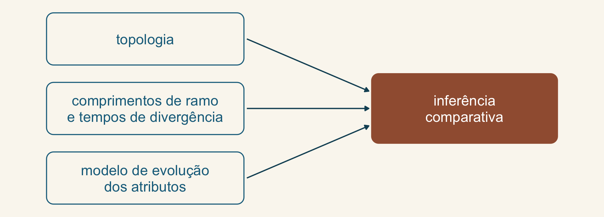Diagrama: topologia, comprimentos de ramo e tempos de divergência, e modelo de evolução dos atributos, cada um com uma seta para inferência comparativa.