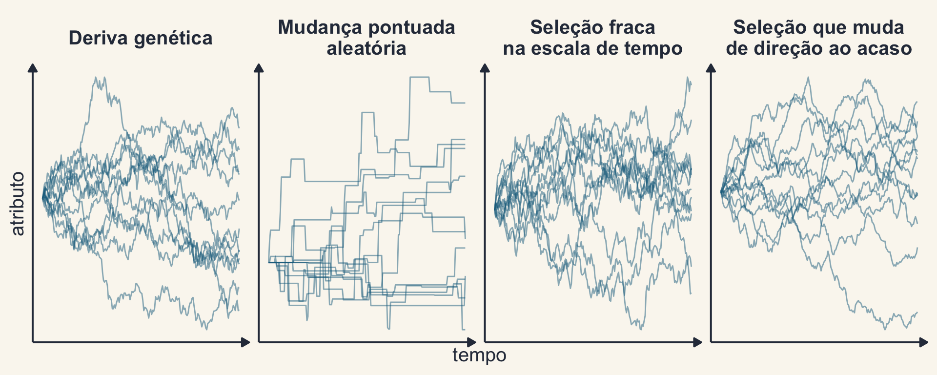Quatro painéis de trajetórias simuladas: deriva genética; mudança pontuada aleatória, em degraus; seleção fraca na escala de tempo considerada; seleção que muda de direção ao acaso. Os quatro produzem leques parecidos com o do BM.