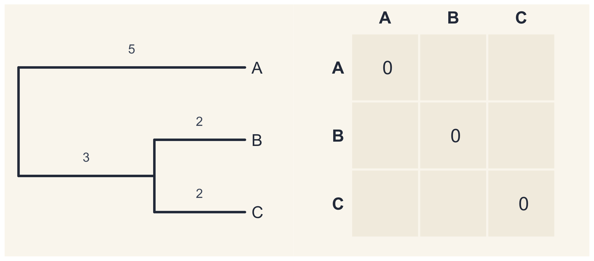 Árvore de três espécies: A, num ramo de comprimento 5, e B e C, irmãs, com ramos de 2 a partir de um ramo interno de 3. Ao lado, a matriz de distâncias, só com a diagonal preenchida com zeros.