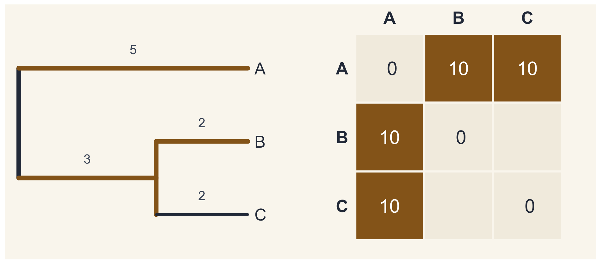 O caminho de A até B pintado na árvore (5 + 3 + 2); na matriz, as distâncias de A a B e de A a C, iguais a 10, em destaque.