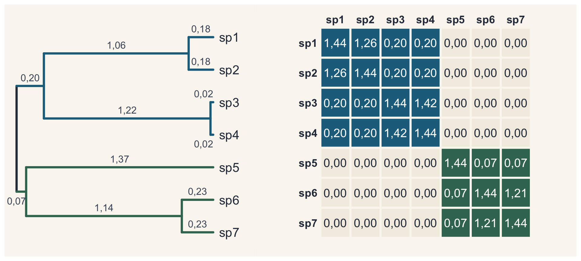 A árvore com o clado das espécies 1 a 4 em azul e o das espécies 5 a 7 em verde; na matriz, os dois blocos correspondentes nas mesmas cores, e zeros entre eles.