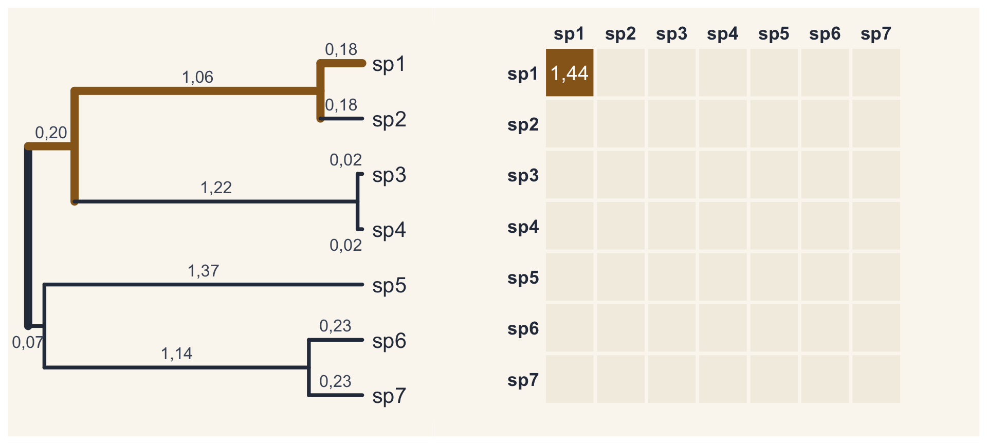 O caminho da raiz até a espécie 1 pintado de ocre (0,20, 1,06 e 0,18); na matriz, a célula da variância da espécie 1, 1,44, em destaque.