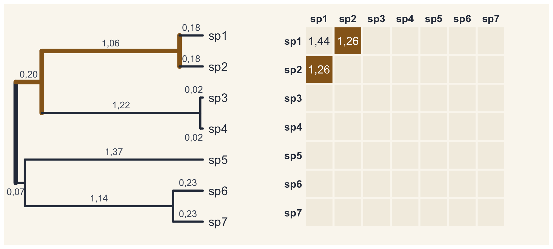 O caminho compartilhado pelas espécies 1 e 2 pintado (0,20 e 1,06); na matriz, a covariância entre 1 e 2, 1,26, em destaque.