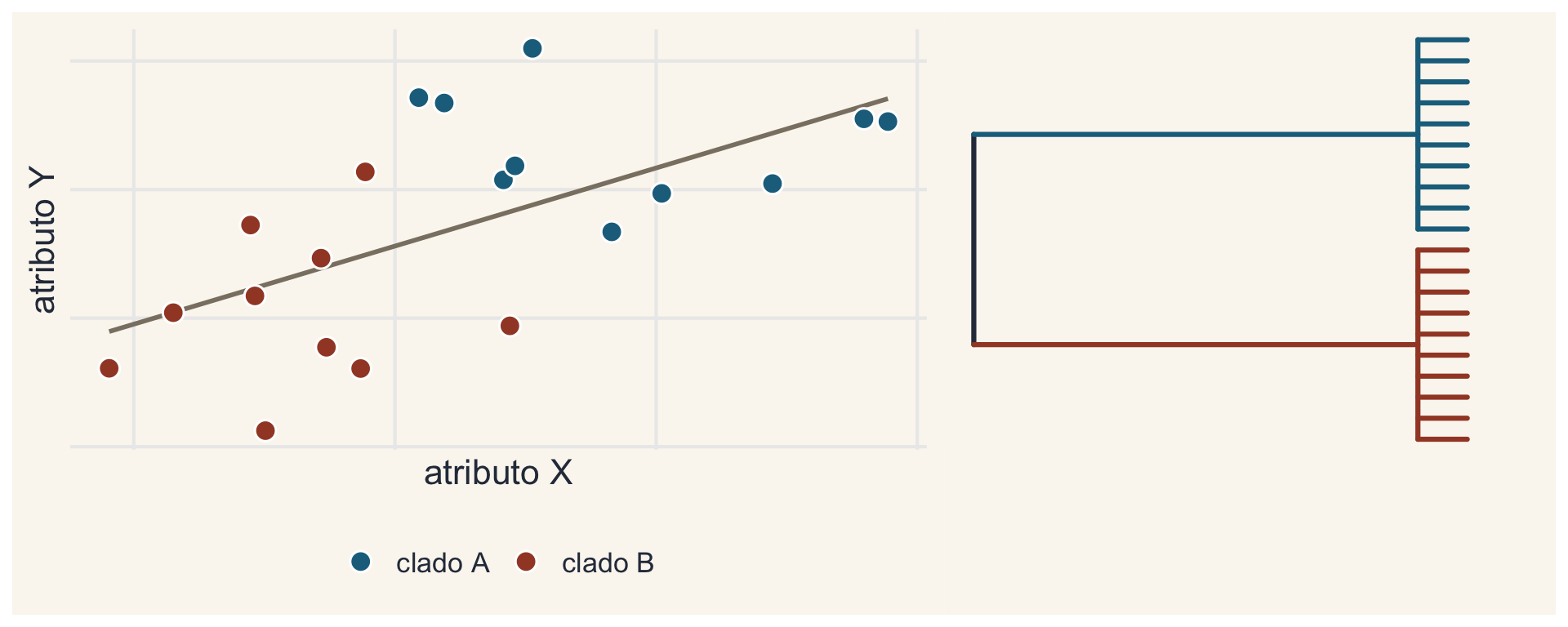 Os mesmos 20 pontos, agora coloridos por clado: os do clado A ficam todos à direita e acima, os do clado B à esquerda e abaixo. Ao lado, a árvore com os dois clados nas mesmas cores.