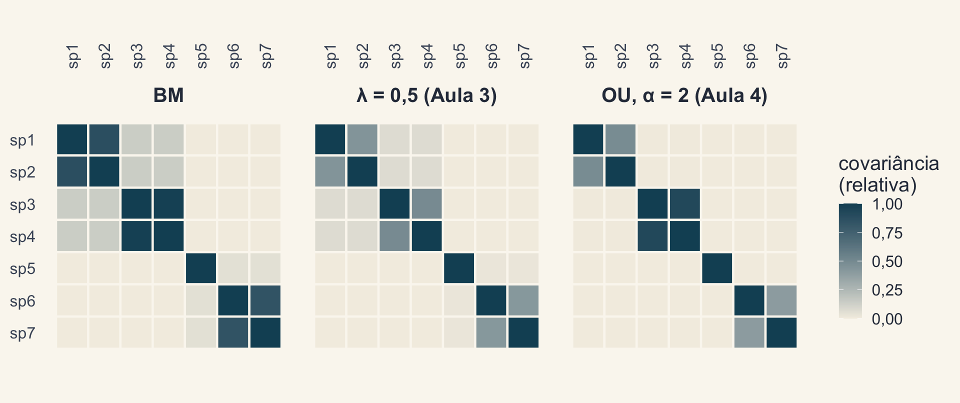 Três mapas de calor 7 por 7 da mesma árvore: sob BM, os blocos dos clados aparecem nítidos; com lambda igual a 0,5, as covariâncias fora da diagonal ficam pela metade; sob OU com alfa igual a 2, só as espécies irmãs mantêm covariância alta.