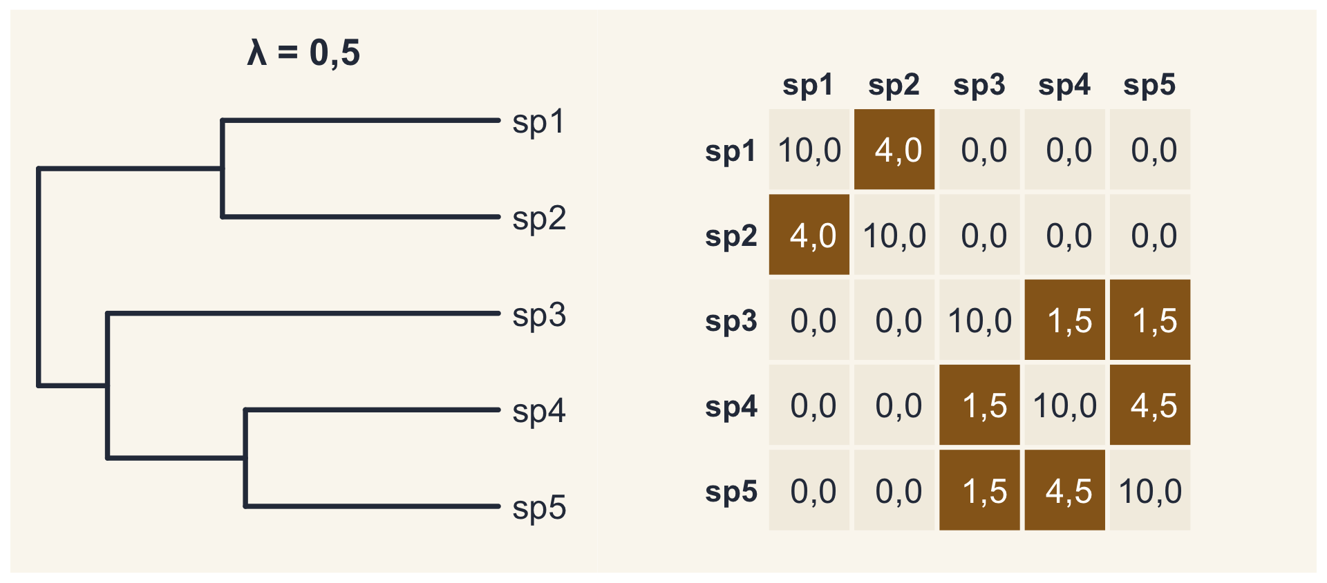 Com lambda igual a 0,5, os ramos internos da árvore encurtam pela metade e as pontas se alongam; na matriz, as covariâncias caem para 4; 1,5 e 4,5.