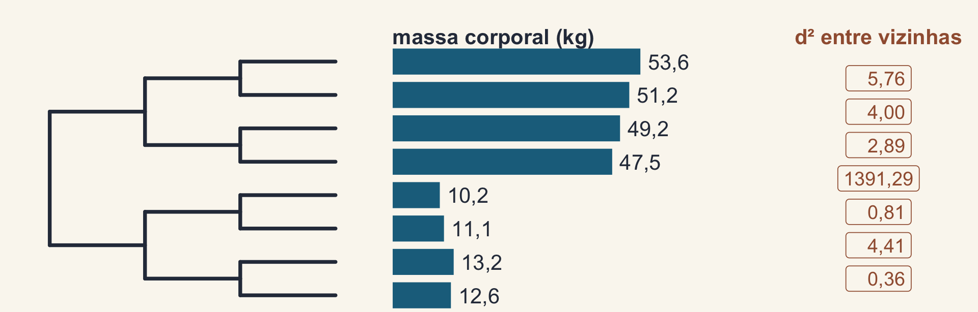 Árvore de oito espécies com a massa corporal de cada uma em barras: as quatro do primeiro clado entre 47 e 54 kg, as quatro do segundo entre 10 e 13 kg. À direita, o quadrado da diferença entre cada par de pontas vizinhas: pequeno dentro dos clados (de 0,36 a 5,76) e enorme na passagem de um clado para o outro (1391,29).