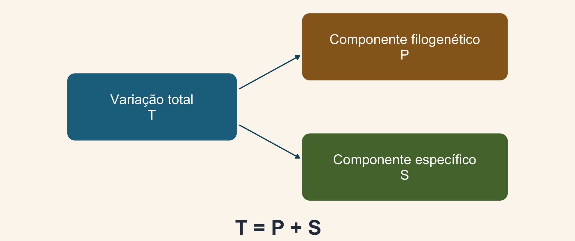 Três caixas: variação total T, com setas para componente filogenético P e componente específico S; embaixo, T igual a P mais S.