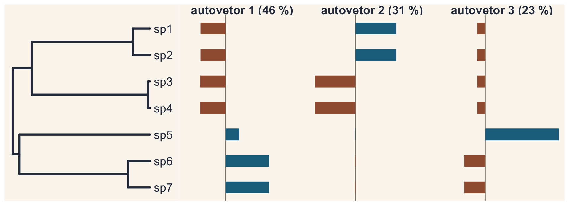 A árvore-guia e os três primeiros autovetores como barras nas pontas: o primeiro separa os dois grandes clados; o segundo separa sp1 e sp2 de sp3 e sp4; o terceiro separa sp5 de sp6 e sp7.