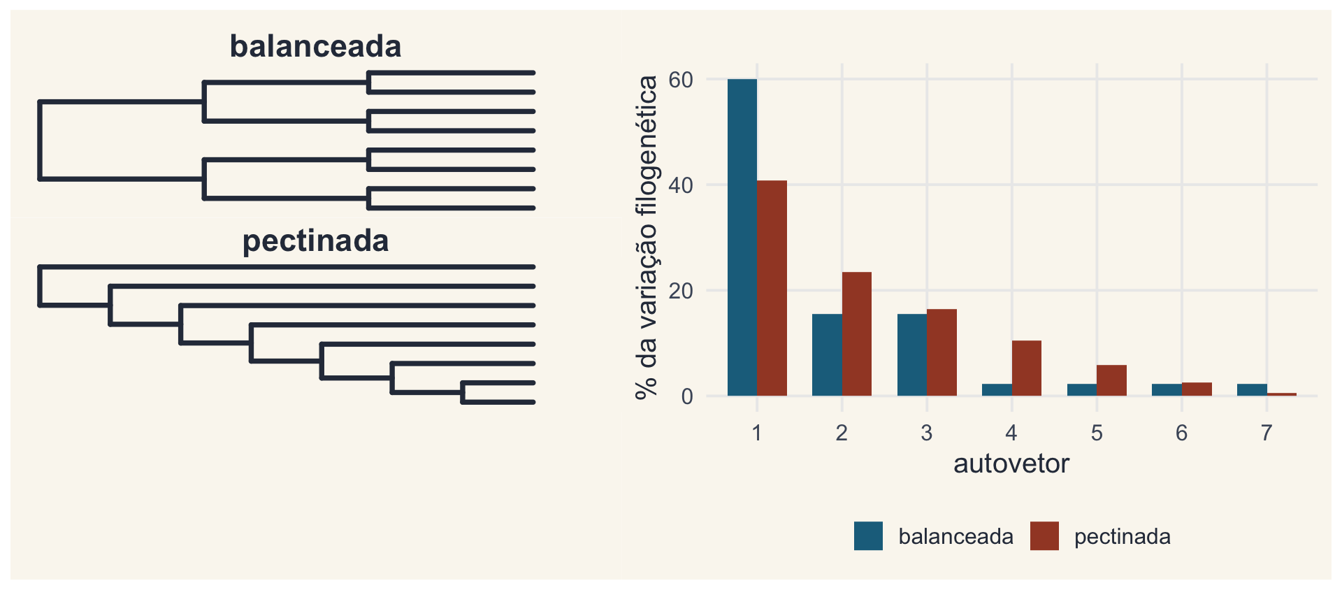 Uma árvore balanceada e uma pectinada de 8 espécies, e os autovalores de cada uma: na balanceada, o primeiro autovetor concentra 60 por cento; na pectinada, a variação se espalha mais pelos autovetores.