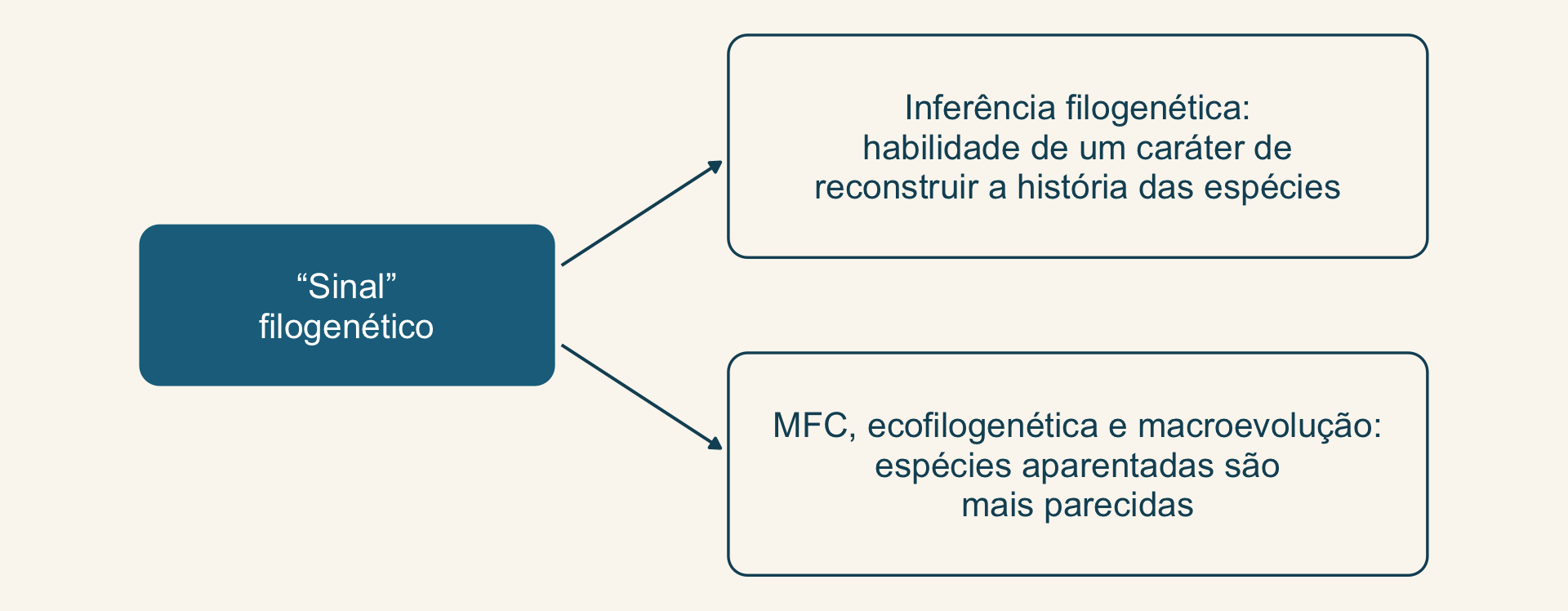 Uma caixa Sinal filogenético com setas para duas caixas: inferência filogenética, habilidade de um caráter de reconstruir a história das espécies; e métodos comparativos, ecofilogenética e macroevolução, espécies aparentadas são mais parecidas.