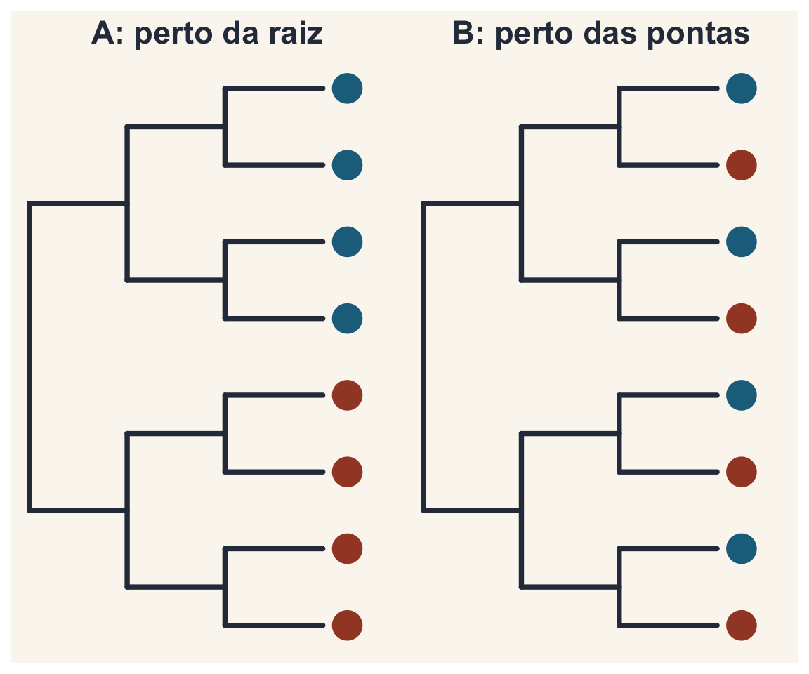 Duas árvores de 8 espécies com dois estados nas pontas. A: um clado inteiro azul e outro vermelho, a diversidade está perto da raiz (sinal). B: estados alternados entre irmãs, a diversidade está perto das pontas.