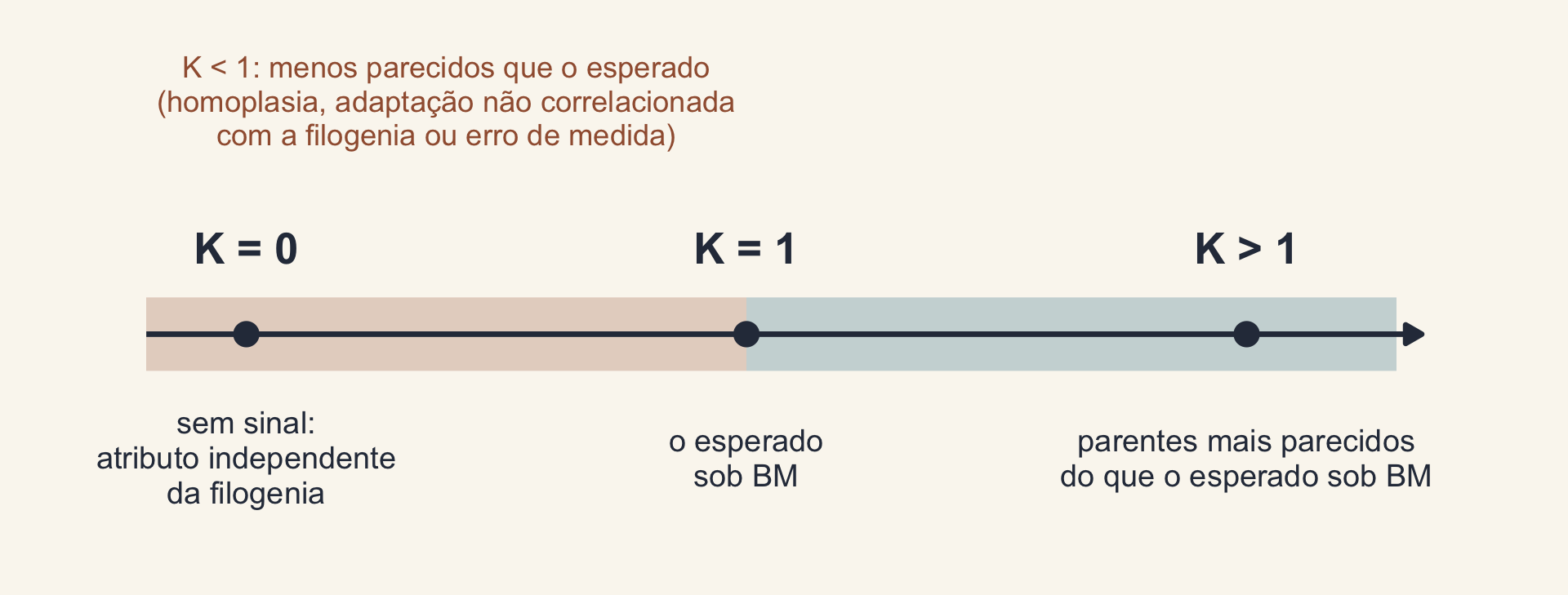 Uma régua do K: K igual a 0, sem sinal; K igual a 1, o esperado sob BM; K maior que 1, parentes mais parecidos do que o esperado sob BM. Acima da parte entre 0 e 1, a nota: K menor que 1, menos parecidos que o esperado, por homoplasia, adaptação não correlacionada com a filogenia ou erro de medida.