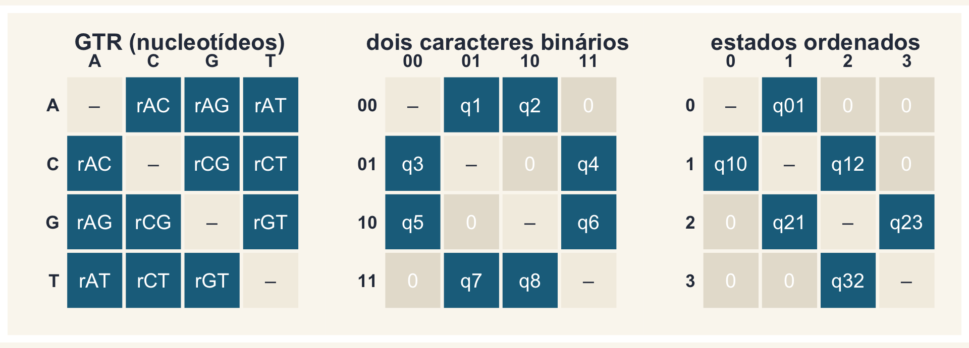 Três matrizes Q lado a lado: a GTR de nucleotídeos (todas as taxas fora da diagonal livres), a de dois caracteres binários com quatro estados combinados (taxas nulas onde os dois caracteres mudariam ao mesmo tempo) e a de estados ordenados (só transições entre estados vizinhos).