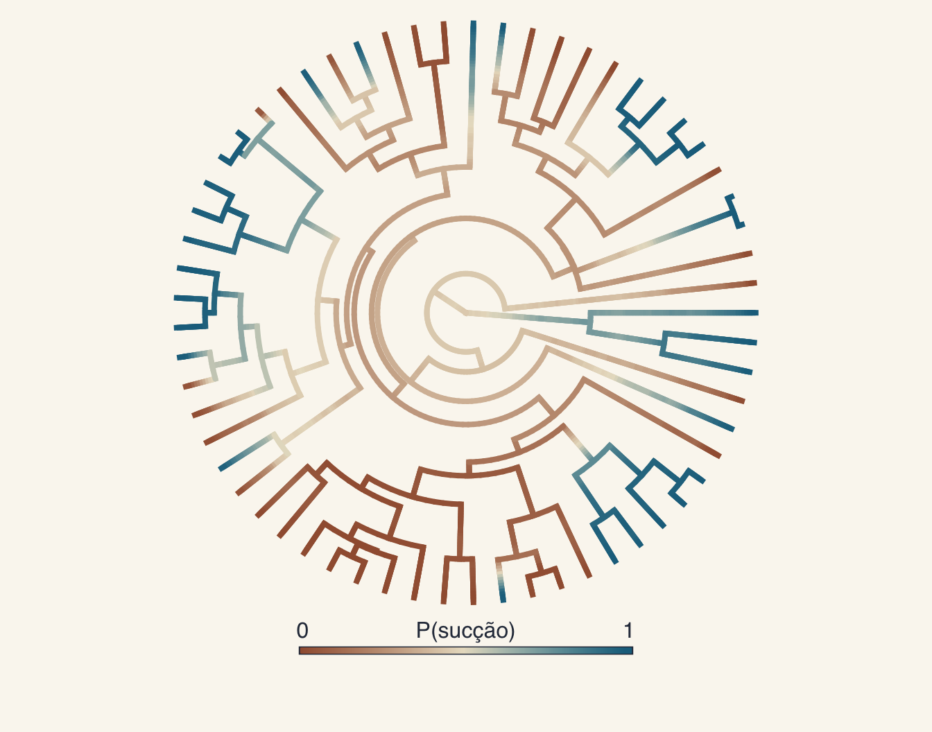 Resumo de 100 mapas estocásticos (densityMap): a probabilidade posterior de sucção ao longo de cada ramo, do ferrugem (0) ao azul (1).