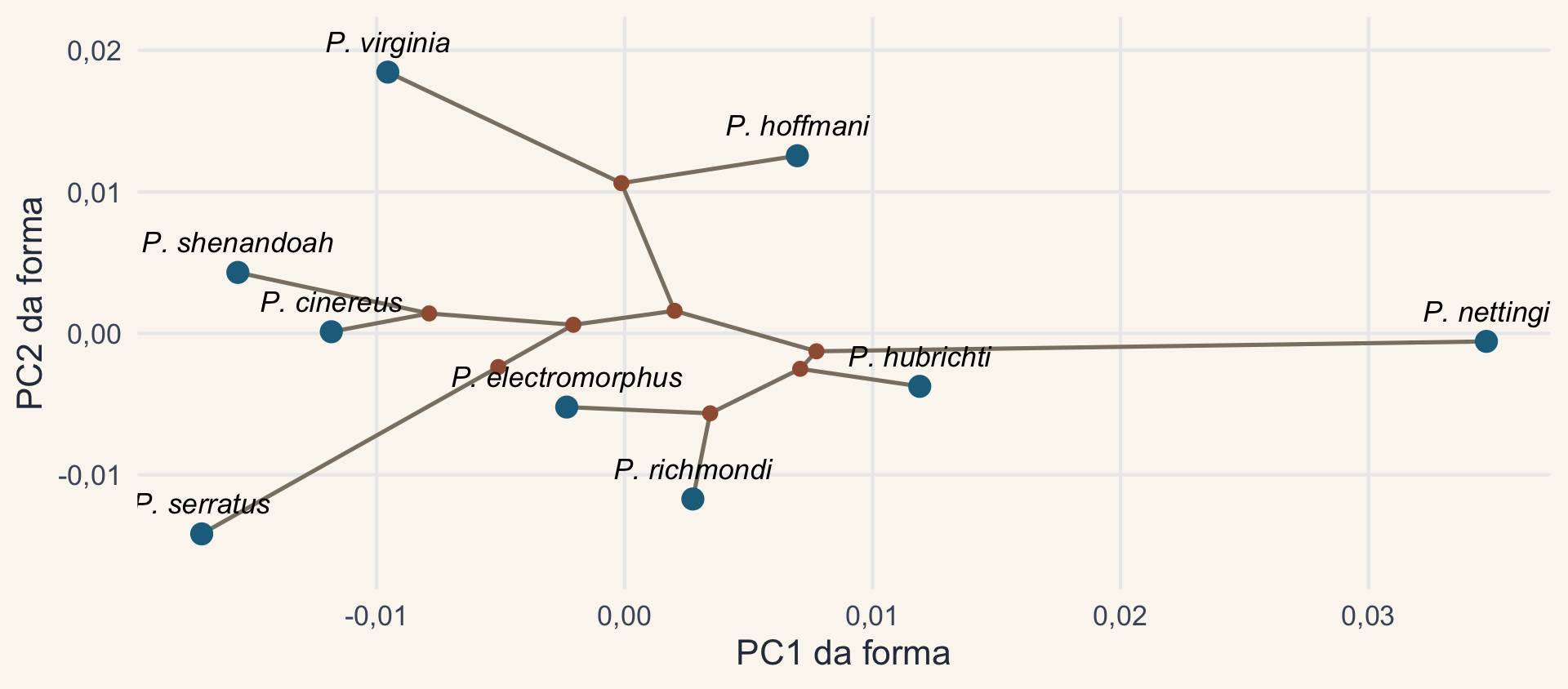 PC1 contra PC2 da forma das nove espécies de Plethodon, com a árvore projetada: os nós internos, em ferrugem, nas estimativas por máxima verossimilhança, ligados pelos ramos.
